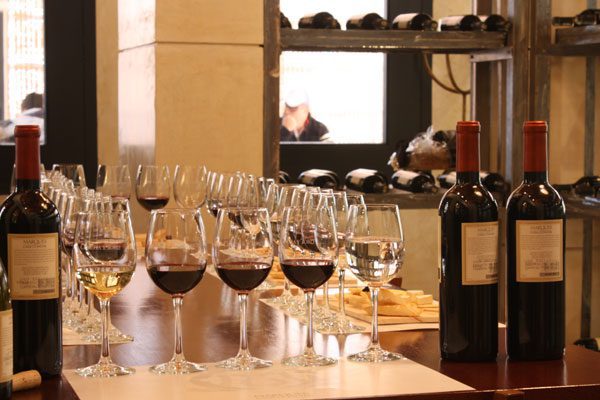 vina-concha-y-toro-3