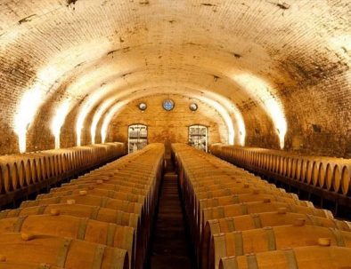 vina-cousino-macul
