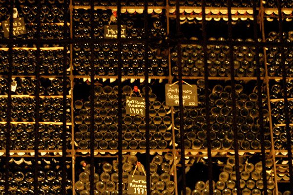 vina-cousino-macul-chile-2
