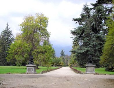 vina-cousino-macul-chile