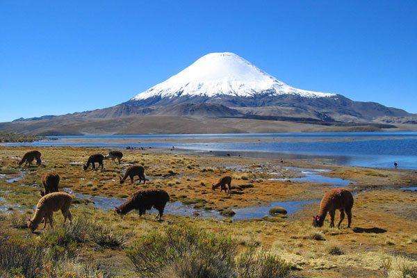 lago-chungara-2