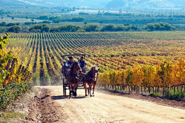 colchagua-4