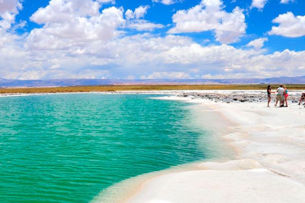 laguna-cejar-1