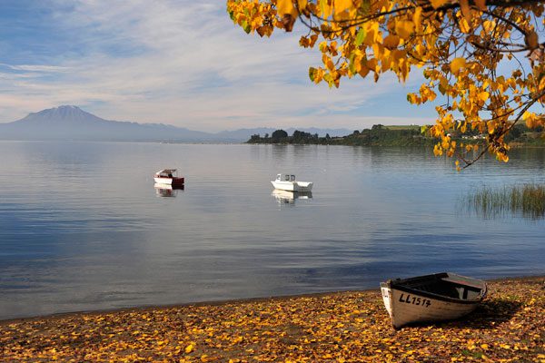 llanquihue-2