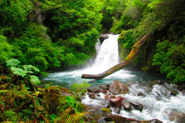 parque-nacional-puyehue-2