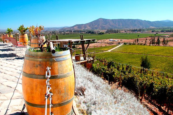 ruta-del-vino-casablanca-3