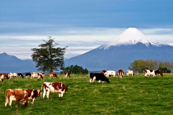volcan-osorno-3