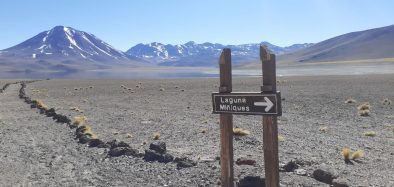 LagunaMM6