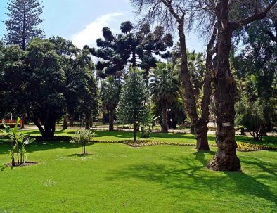 VinaDelMar_11
